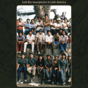 The Guerrilla Generation